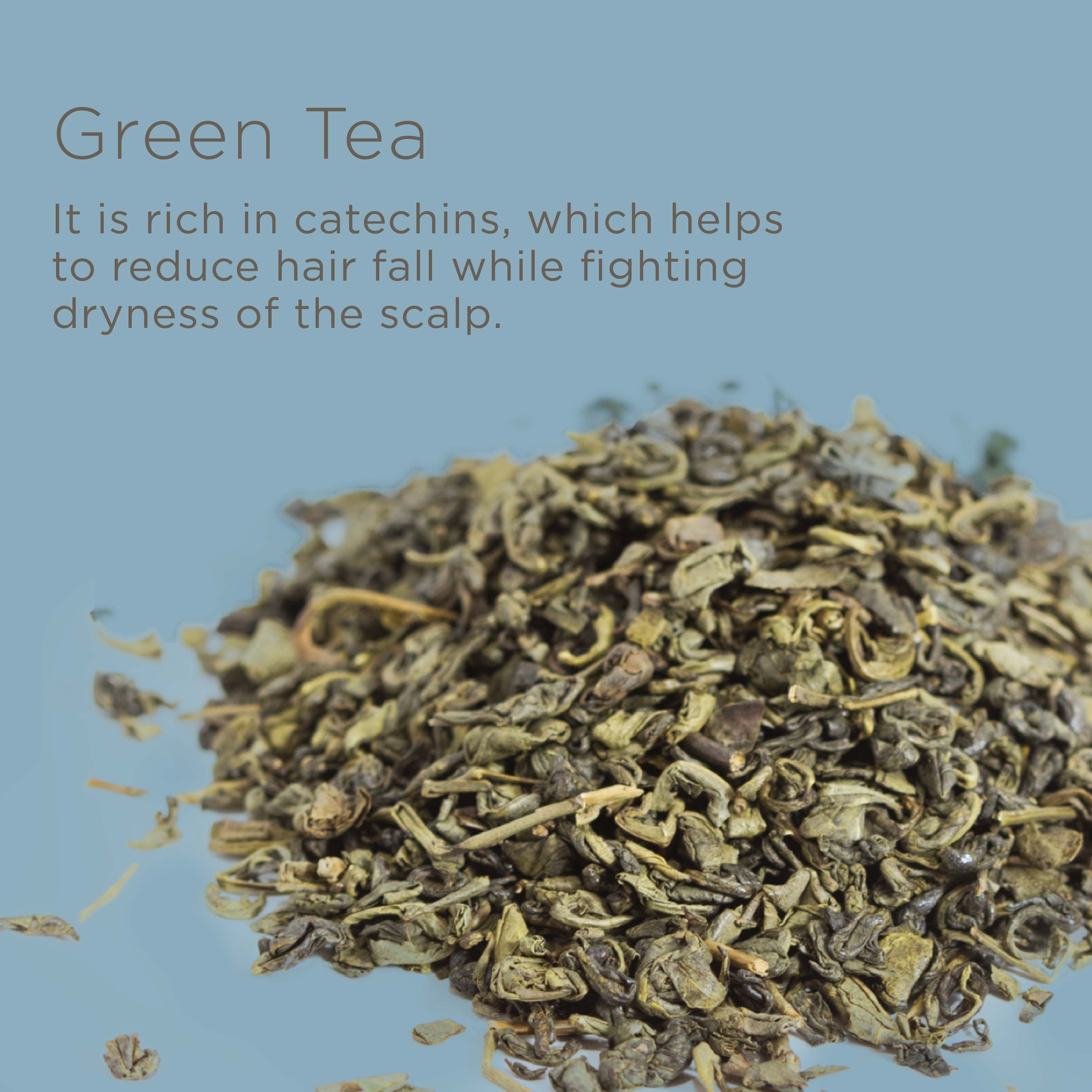 Anti-Dandruff Scalp Balancing Leave-In Conditioner for All Hair Types- Fragrance Free, 6 Fl Oz​