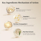 Nourishing Lash & Brow Serum – Enhances the Look of Fuller, Longer Eyelashes and Eyebrows – Gentle Formula for Sensitive Eyes – Vegan & Cruelty-Free – 0.17 Fl Oz (Pack of 2)