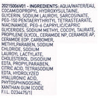 (2 Pack)  Foaming Facial Cleanser for Normal to Oily Skin, 12 Fl Oz