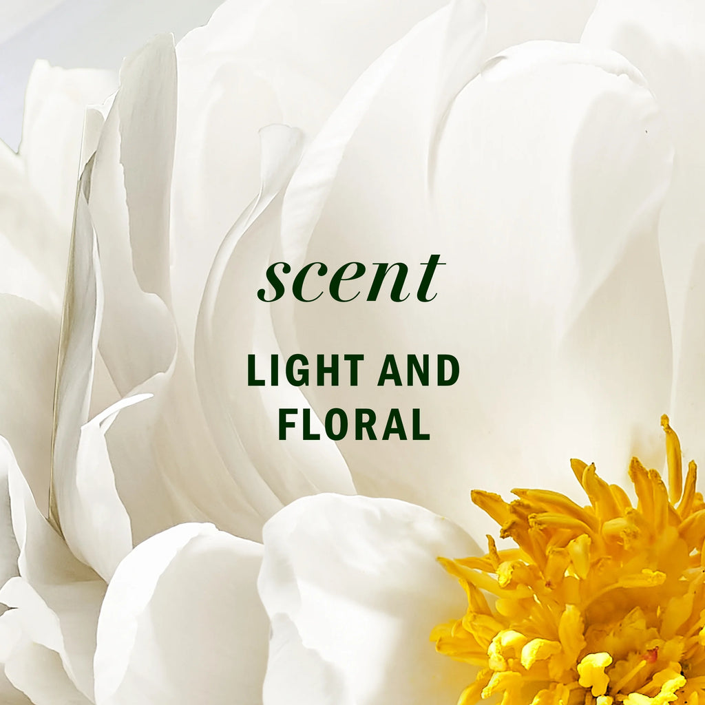 All-In-1 Nourishing Spray, Certified Pure Plants, with Aloe and Camellia Flower Oil, 6 Fl Oz