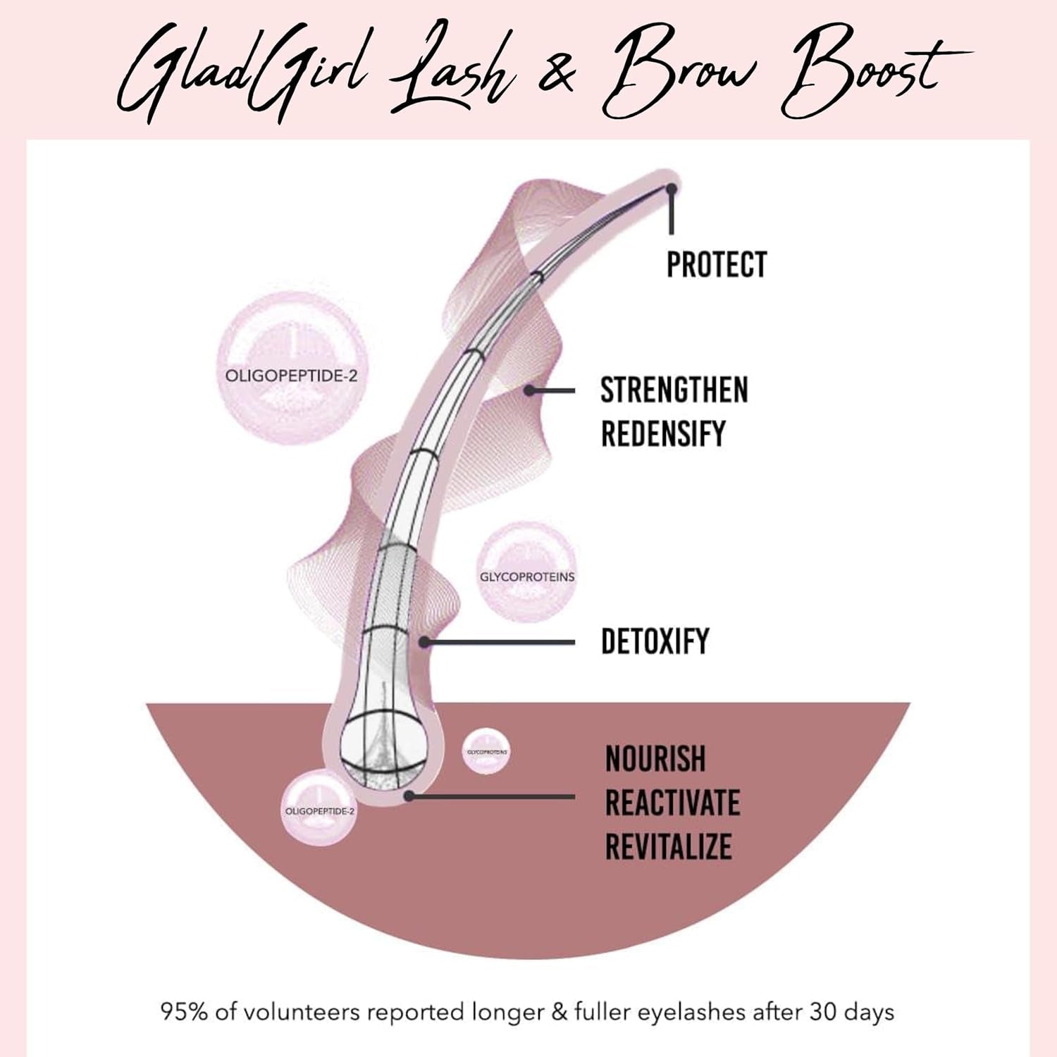 Lash and Brow Boost