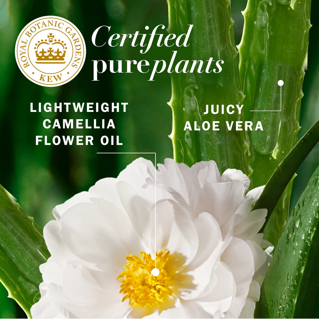 All-In-1 Nourishing Spray, Certified Pure Plants, with Aloe and Camellia Flower Oil, 6 Fl Oz